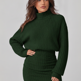 Knit Roll-Neck Mini Dress – Stretch Fit, Bodycon Silhouette for Everyday Wear