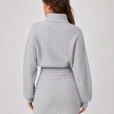 Knit Roll-Neck Mini Dress – Stretch Fit, Bodycon Silhouette for Everyday Wear